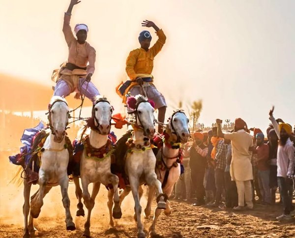 Book Hola Mohalla Tour Packages