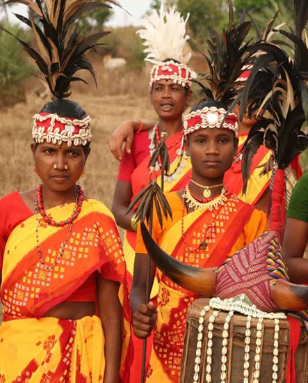 Book Chattisgarh tribal tour Packages