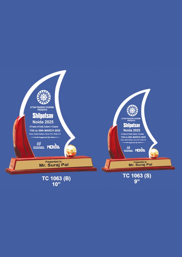 Acrylic Sports Trophy Manufacturer in Gurugram